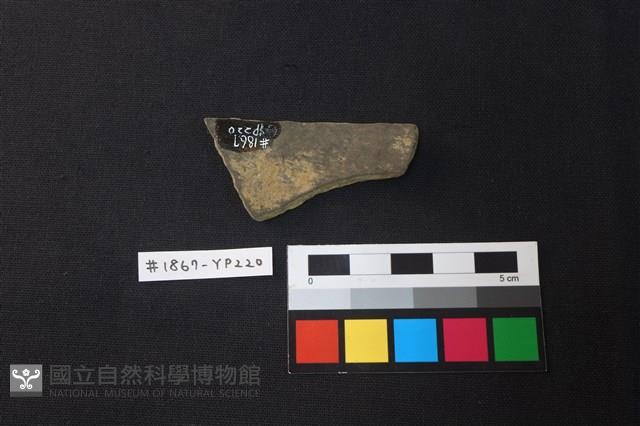 陶片藏品圖，第2張