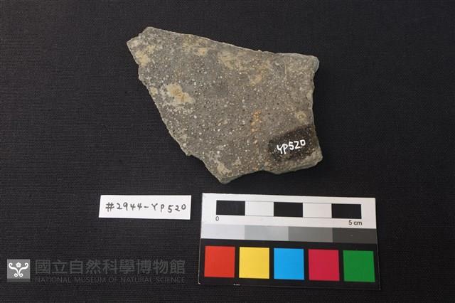 陶片藏品圖，第2張