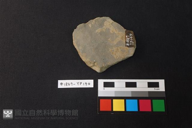 陶片藏品圖，第2張