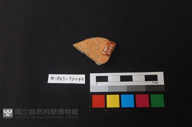 陶片藏品圖，第2張