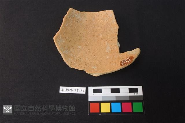 陶片藏品圖，第2張
