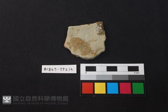 陶片藏品圖，第2張