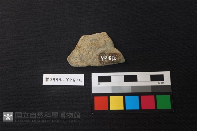 陶片藏品圖，第2張