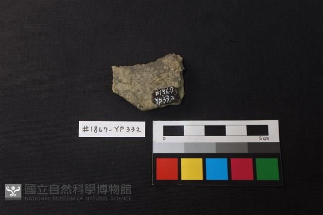 陶片藏品圖，第2張