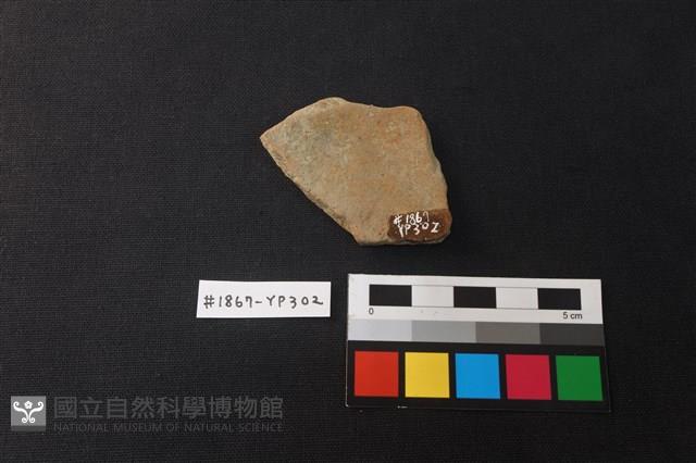 陶片藏品圖，第2張