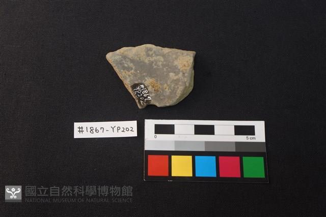 陶片藏品圖，第2張