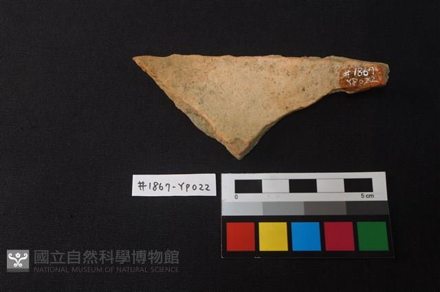 陶片藏品圖，第2張