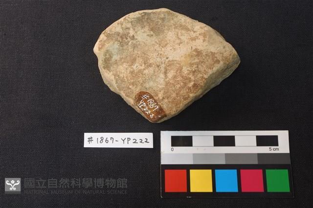 陶片藏品圖，第2張