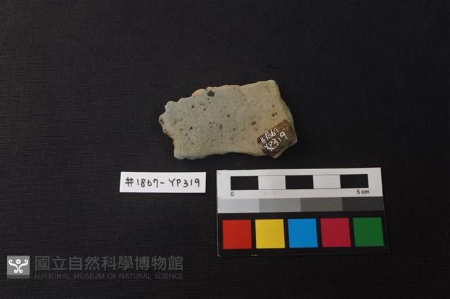 陶片藏品圖，第2張