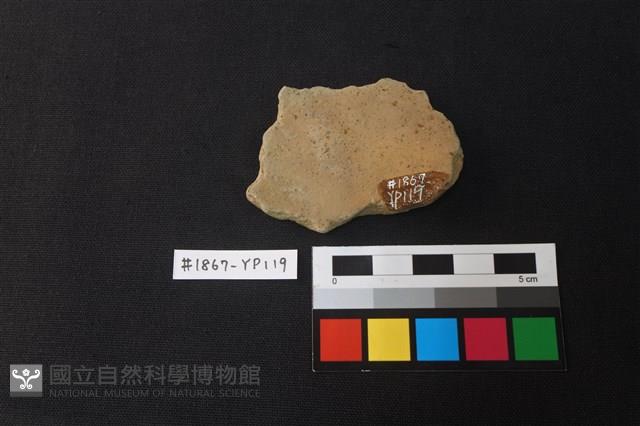 陶片藏品圖，第2張