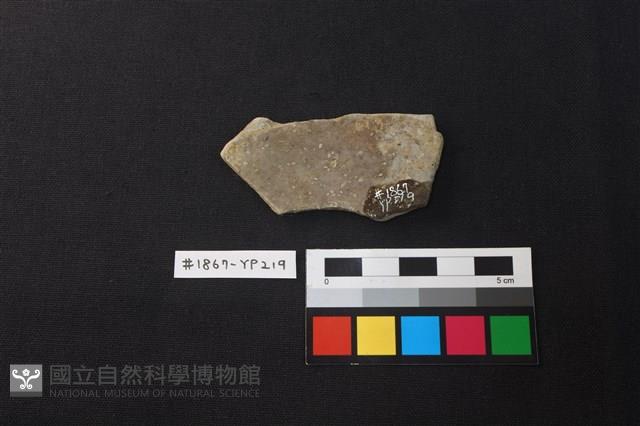 陶片藏品圖，第2張
