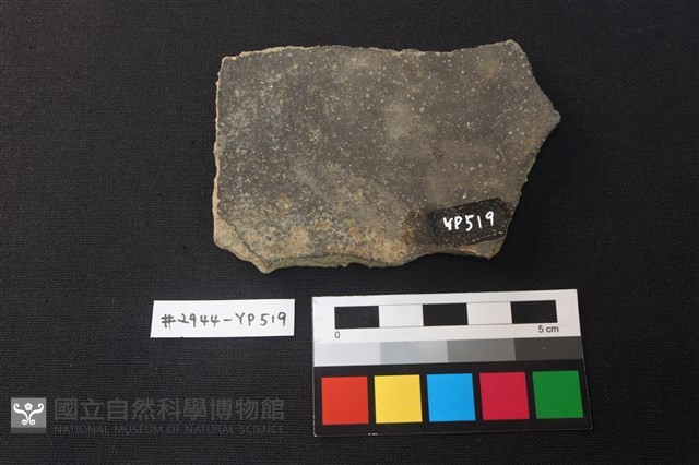陶片藏品圖，第2張