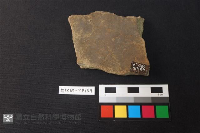 陶片藏品圖，第2張