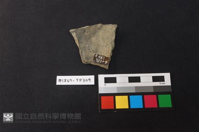 陶片藏品圖，第2張