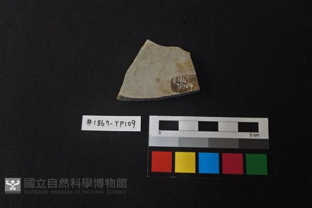 陶片藏品圖，第2張