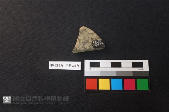 陶片藏品圖，第2張