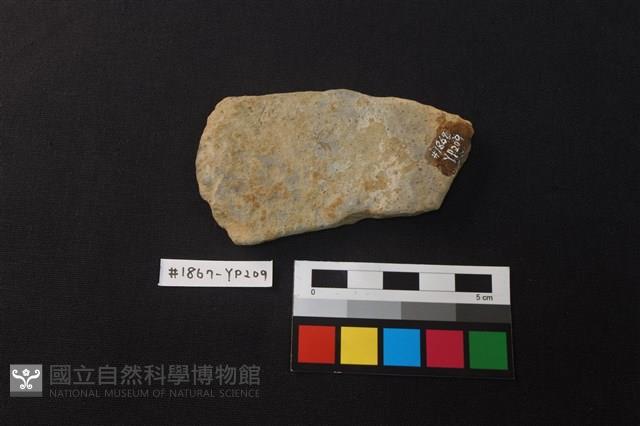 陶片藏品圖，第2張