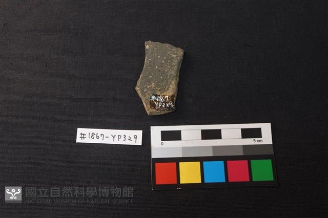 陶片藏品圖，第2張