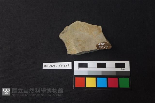 陶片藏品圖，第2張