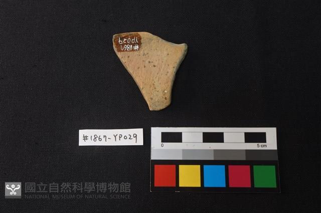 陶片藏品圖，第2張