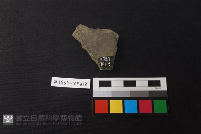 陶片藏品圖，第2張