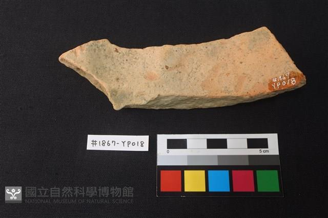 陶片藏品圖，第2張