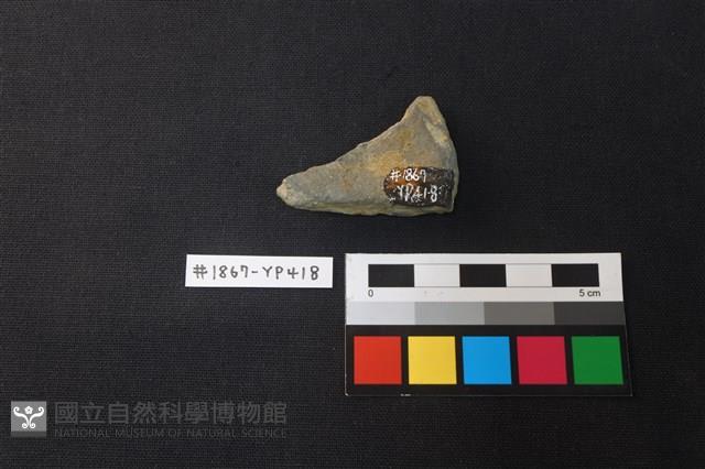 陶片藏品圖，第2張