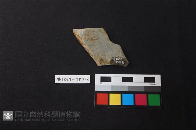 陶片藏品圖，第2張