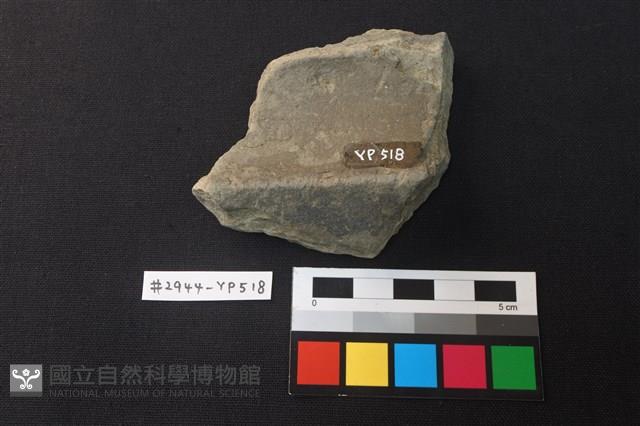 陶片藏品圖，第2張