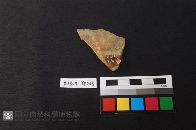陶片藏品圖，第2張