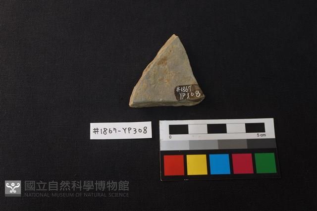 陶片藏品圖，第2張