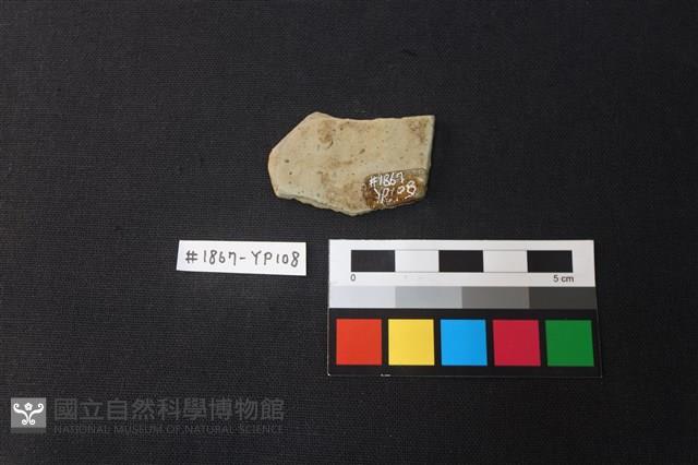 陶片藏品圖，第2張