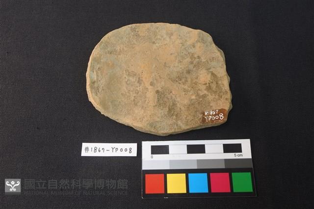 陶片藏品圖，第2張