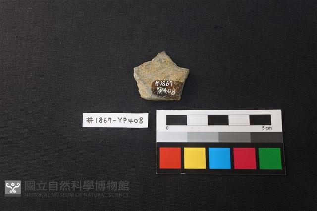 陶片藏品圖，第2張