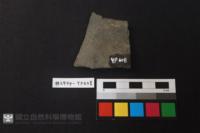 陶片藏品圖，第2張