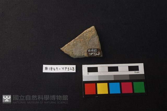 陶片藏品圖，第2張
