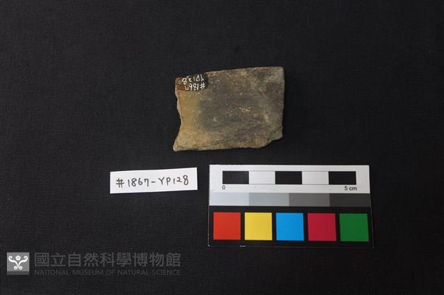 陶片藏品圖，第2張