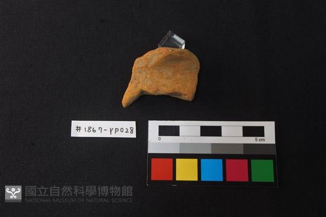 陶片藏品圖，第2張