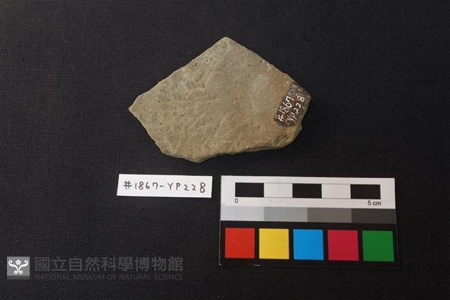 陶片藏品圖，第2張