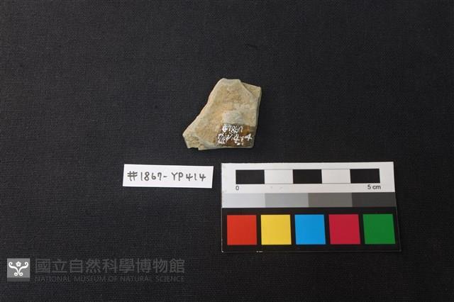 陶片藏品圖，第2張