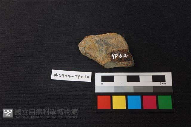 陶片藏品圖，第2張