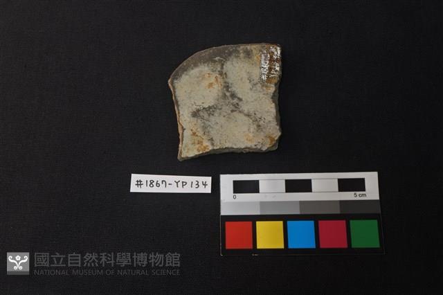 陶片藏品圖，第2張