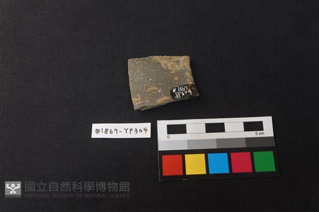 陶片藏品圖，第2張