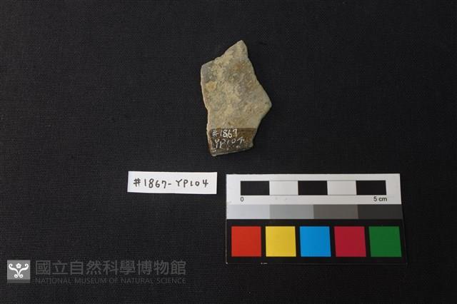 陶片藏品圖，第2張