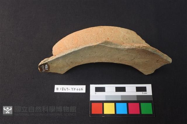陶片藏品圖，第2張
