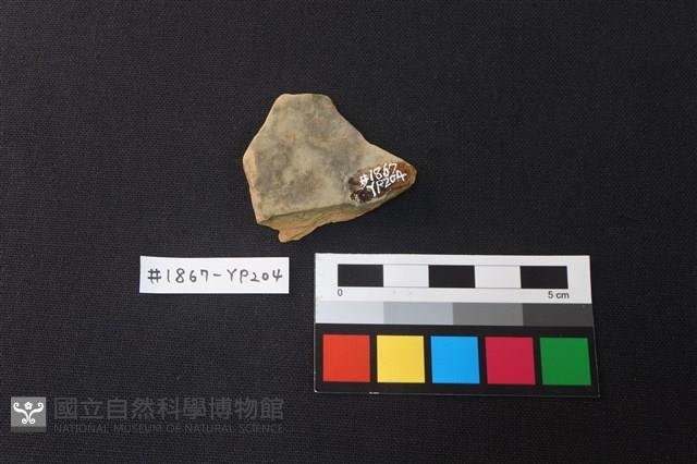 陶片藏品圖，第2張