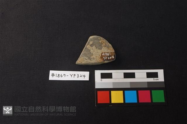 陶片藏品圖，第2張