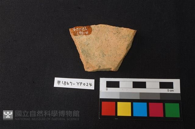陶片藏品圖，第2張