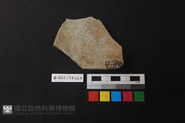 陶片藏品圖，第2張