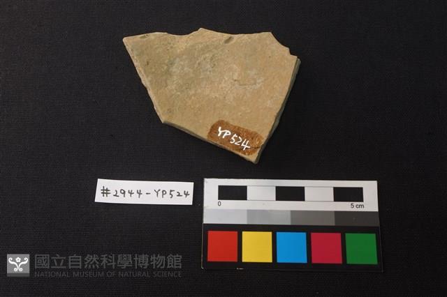 陶片藏品圖，第2張